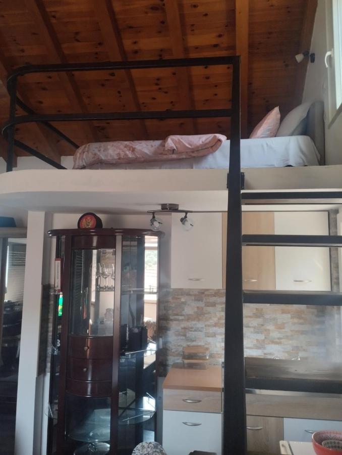 פודגוריצה Woodstone Apartman מראה חיצוני תמונה